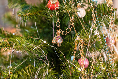 Holiday 2025 Look Book