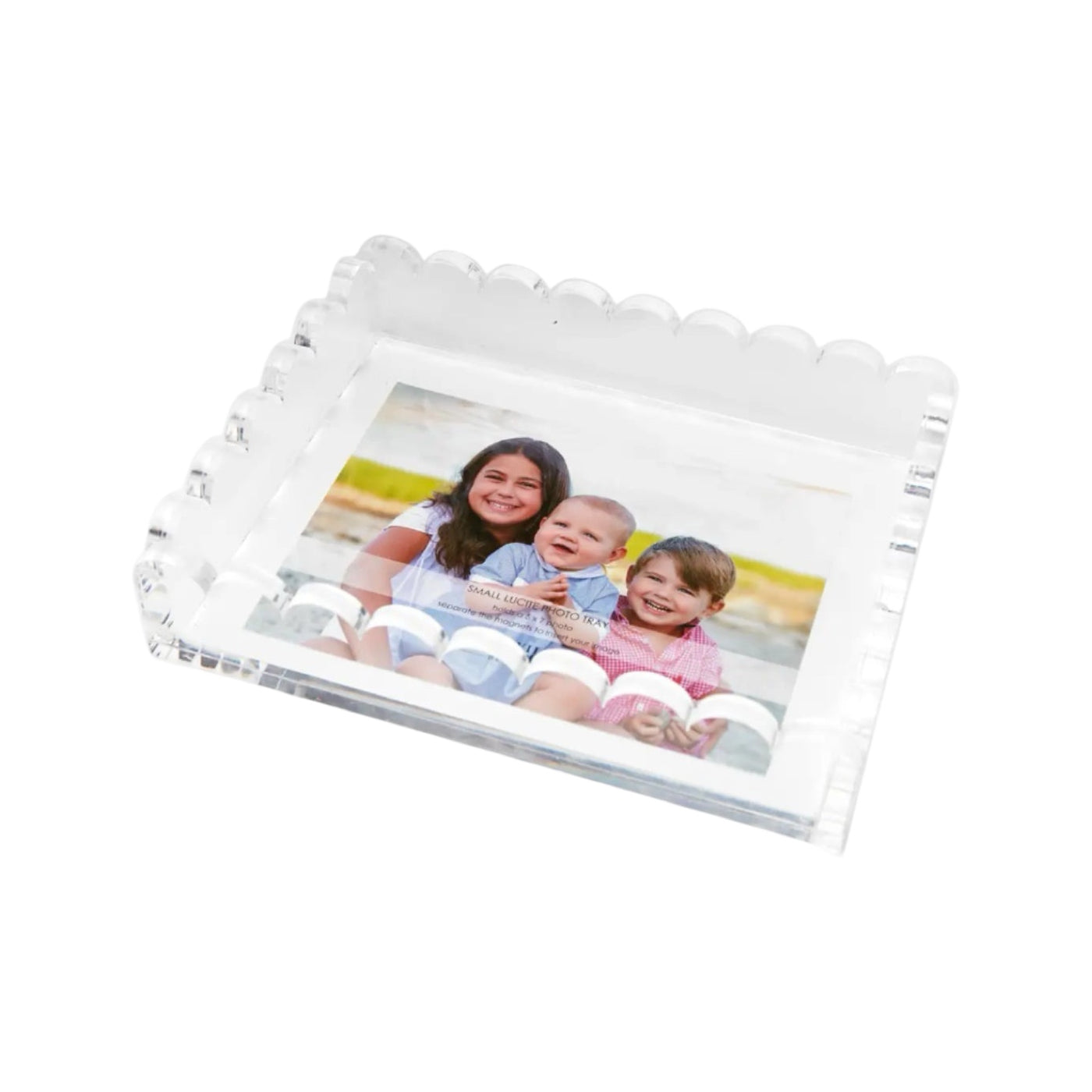 CLEAR SCALLOP PHOTO TRAY