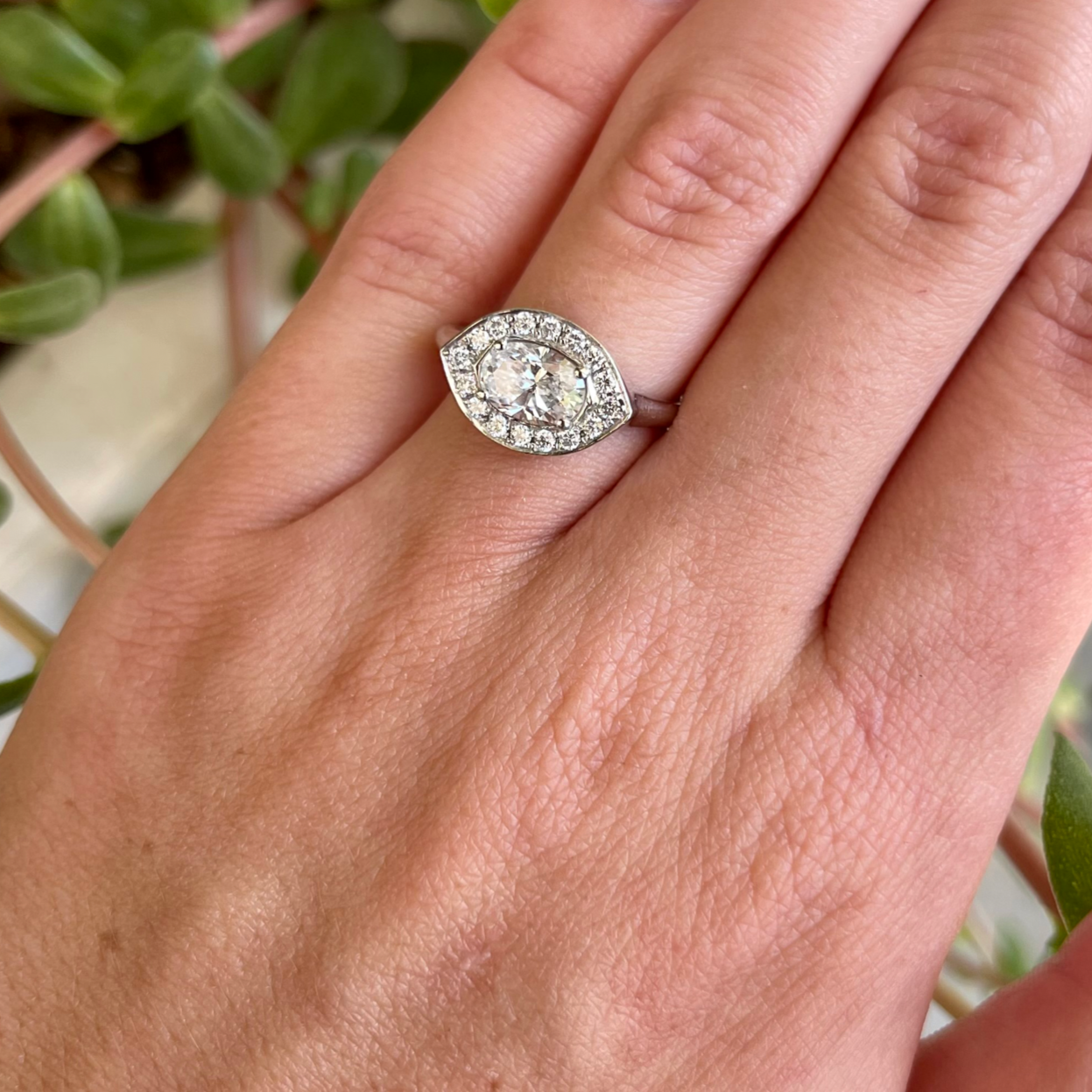Azalea Diamond Ring / 18k White Gold
