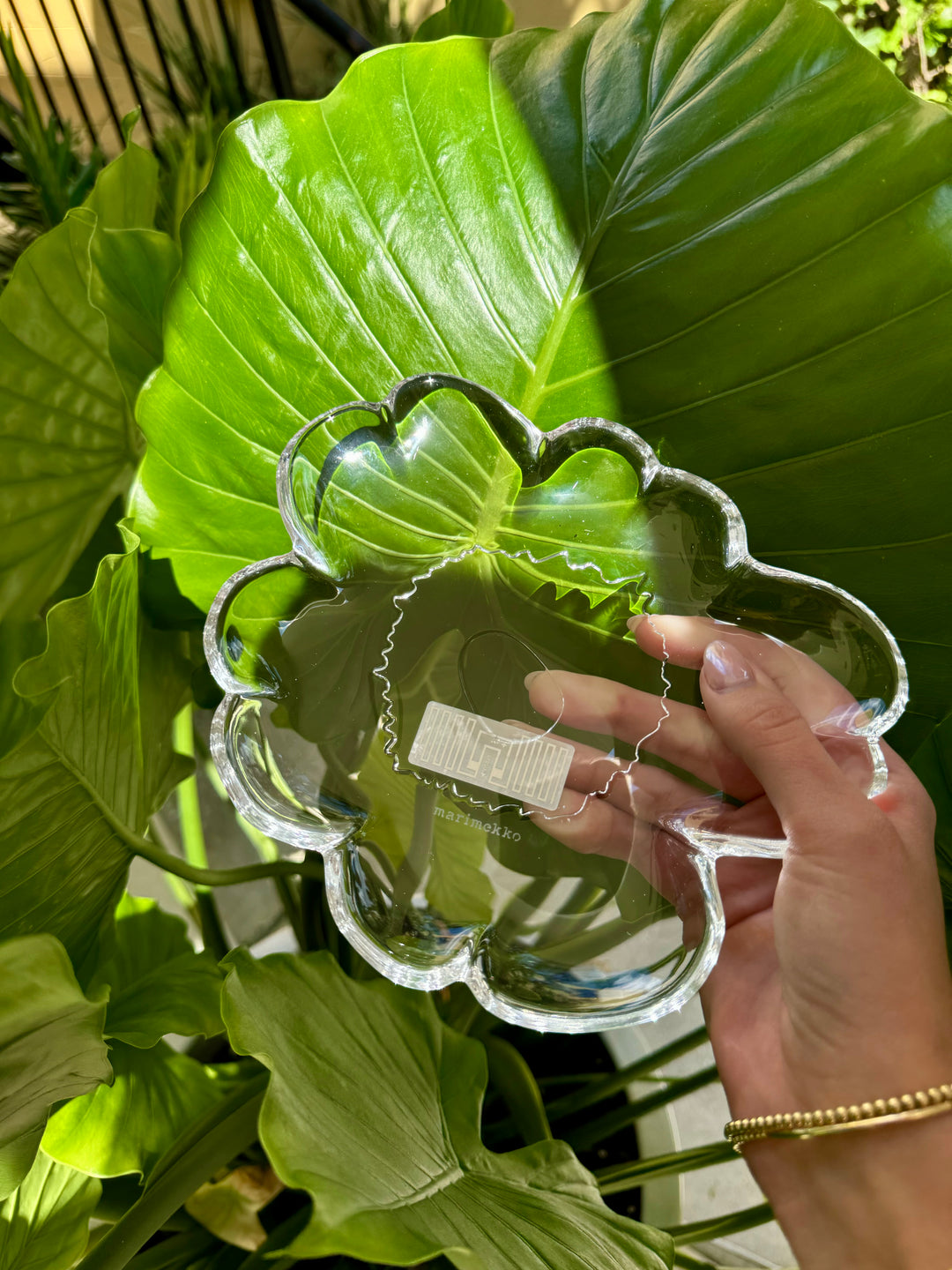 IMG_5598_1080x.heic?v=1726600243