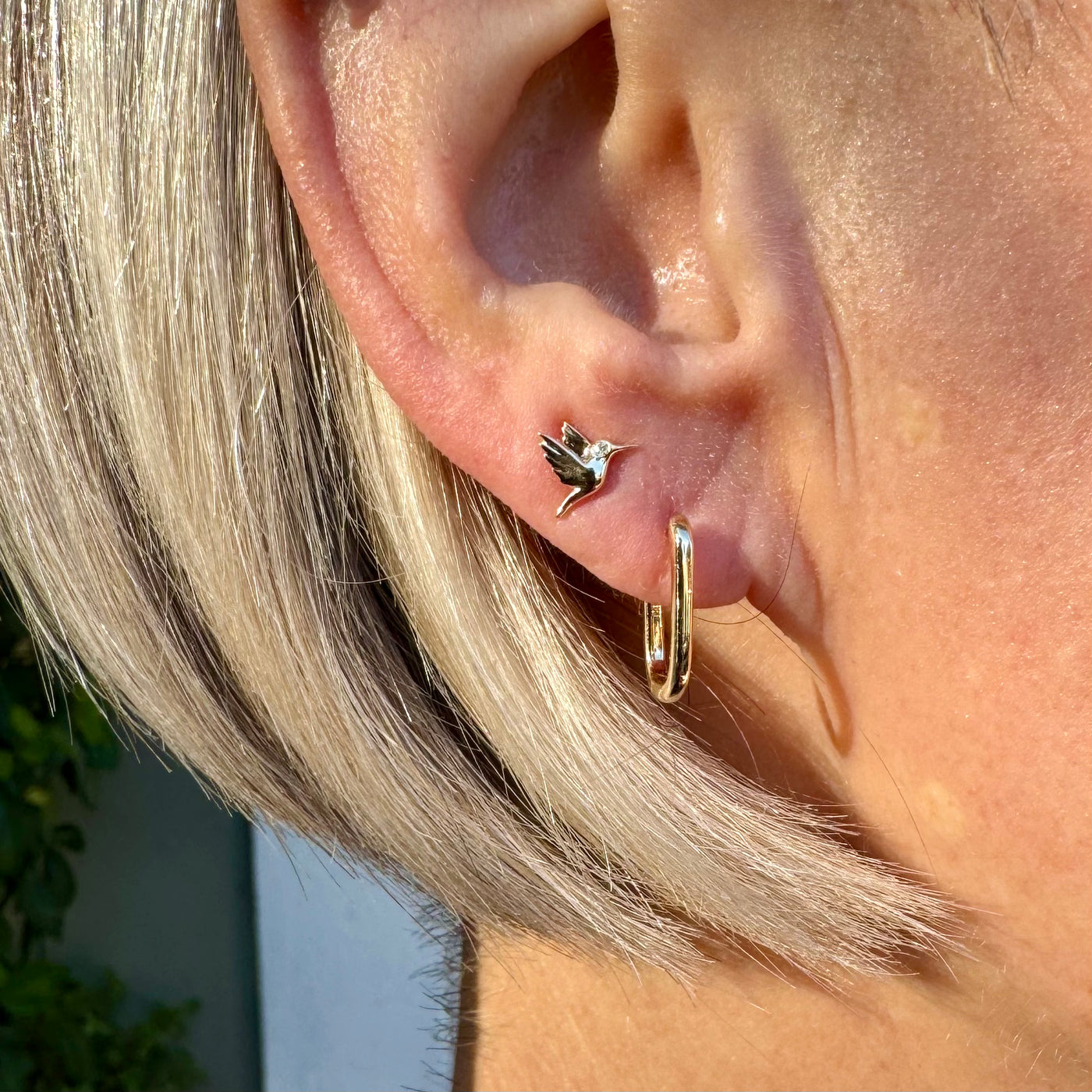 Mini Hummingbirds with Diamond Eye